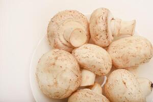 Fresh champignons on a white plate. Mushrooms on a white background. photo