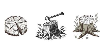 Beautiful texture of wood tree stump or chopping product display placement in nature concepts background. vector