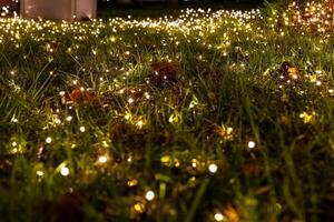 Glowing lights illuminate grass in a serene outdoor setting during nighttime gathering photo