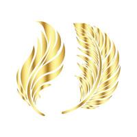 Golden feather isolated on white background vector