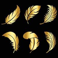 Golden feathers set on black background vector