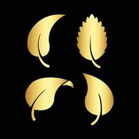 Luxurious Golden leaves icon set on black background vector