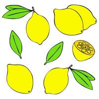 Lemon Bundle. A set of colorful doodle hand-drawn lemons, in a variety of shapes. Isolated on a white background. Suitable for web, digital, print, kitchen design, menus, stickers, banners, posters vector