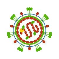 Human metapneumovirus isolated on white background. Schematic representation of the virus molecule and its structure. Virus logo. vector