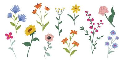 Collectionl spring flowers in a flat style on a white background. Includes daisies, sunflowers, poppies, and wildflowers in various colors and shapes. Perfect for nature designs, patterns vector