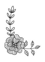 bouquet flower hand drawn for design greeting card and invitation vector