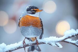 A bird is sitting on a branch covered in snow photo