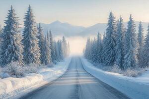 A snowy road is shown with trees and mountains in the background photo