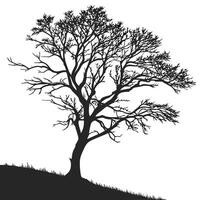 silhouette of a tree on a hill vector