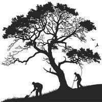 two men are working in the field with a tree vector