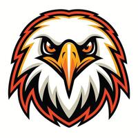 an eagle head with a red and orange crest vector