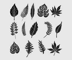 Leaf plant botany collection set bundle silhouette ink illustration asset element nature, tropical editable vector