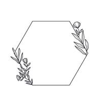Hand Drawn Hexagonal Frame with Foliage vector