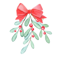 watercolor mistletoe branch with red ribbon and berries isolated png