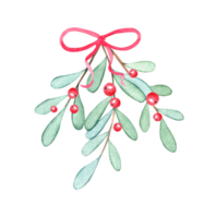 watercolor mistletoe branch with red ribbon isolated png