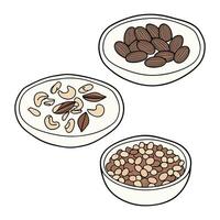 Assorted Dry Food in Bowls with Nuts, Seeds and Almonds vector