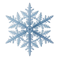 Snowflake with Intricate Patterns png