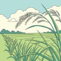 An illustration of a rice field with tall grass vector