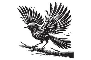 Sparrow Bird Silhouette Graphics for DIY Projects vector