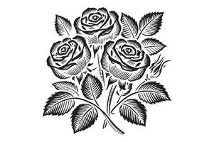 Rose Silhouette Patterns and Borders vector