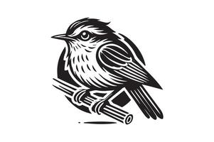 Unique Kingfisher Silhouettes for Professional Design Projects vector