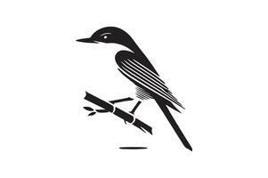 Kingfisher Silhouette Vectors for Logo and Branding Use