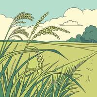 An illustration of a field with rice vector