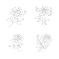 Elegant One-Line Rose Drawings Set, Rose Line Art Illustration Set on White Background vector
