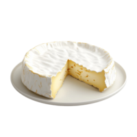 Single Slice of Cheese on Plate png