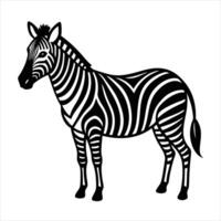 Minimalist Zebra Illustration Simple Design with White Background vector