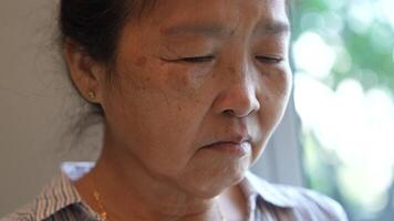 Senior woman using a smartphone near a large window with urban greenery outside, focusing intently on the screen. A scene blending modern technology with serene surroundings. video