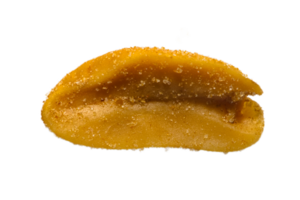 close up image of a peanut png