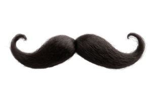 Unique black mustache with dramatic curls displayed on a plain background png