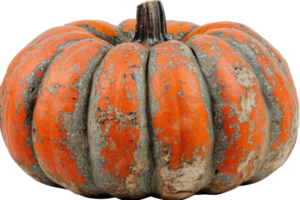 Ripe pumpkin with rustic texture and vibrant color on display in autumn season png