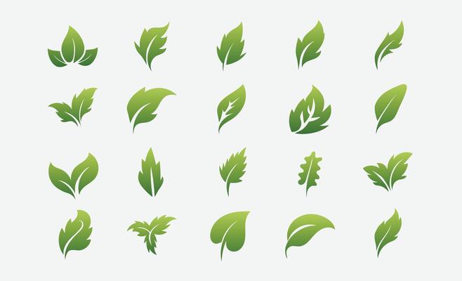 Stylized Gradient Leaves Graphic Pack
