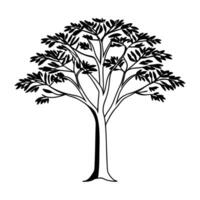 stylized black and white illustration of a full-grown tree. vector