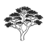 Black and White Outline Drawing of a Tree vector