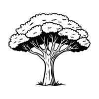 black and white graphic depicts a mature tree with a broad, lush canopy. vector