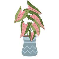 Houseplant in pot for interior decoration. illustration plant in flat style. Perfect for home decor, eco-friendly designs, and botanical projects. vector