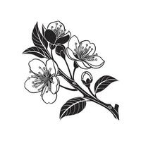 Black and white illustration of a branch of an apple tree vector