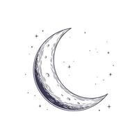 A drawing of a crescent with stars on it vector