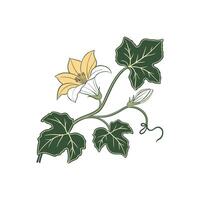 A flower with leaves and a stem vector