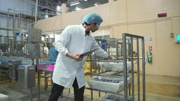 Production control supervisor inspects and controls the operation of each step in the production line of a canned fish factory video