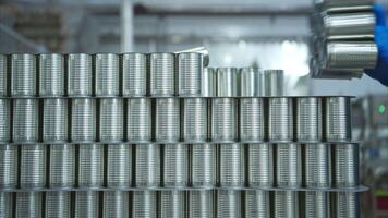 Process and production line in canned fish factory video