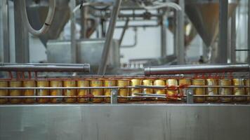 Process and production line in canned fish factory video