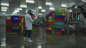 Production control supervisor inspects and controls the operation of each step in the production line of a canned fish factory video