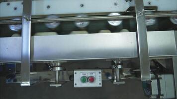Conveyor system and emergency stop button in a canned fish factory video