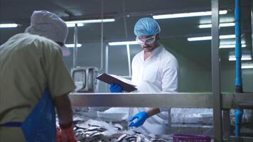 Raw material quality inspectors evaluate and inspect fish pieces before they enter the canned fish production process video