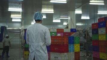 Production control supervisor inspects and controls the operation of each step in the production line of a canned fish factory video