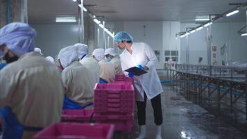 Production control supervisor inspects and controls the operation of each step in the production line of a canned fish factory video